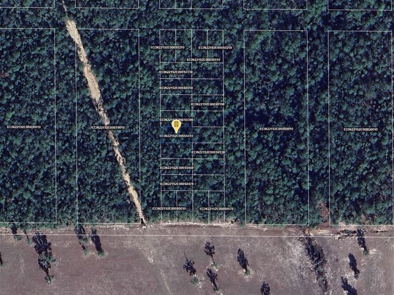 .11 Acre in Crestview, $150/Mo : Crestview : Okaloosa County : Florida
