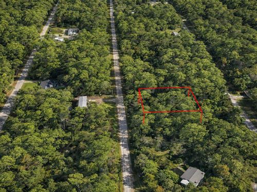 .23 Acre Scenic Views, $175/Mo : Bay Saint Louis : Hancock County : Mississippi