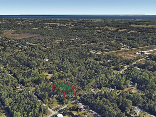 .26 Acre in Bay Saint Louis, $175 : Bay Saint Louis : Hancock County : Mississippi