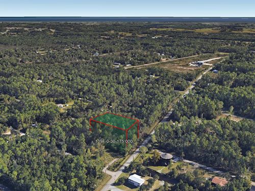 .52 Acre in Bay Saint Louis, $300 : Bay Saint Louis : Hancock County : Mississippi