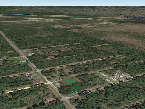 .24 Acre in Bay Saint Louis, $175 : Bay Saint Louis : Hancock County : Mississippi