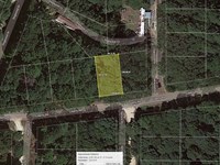 .14 Acre Lake Deerwood Access Lot : Harleton : Harrison County : Texas