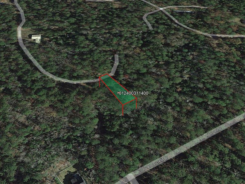 .24 Acre in Brookeland, $225/Mo : Brookeland : Jasper County : Texas