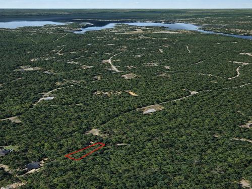 .24 Acre Wooded Lot Near Sam Raybu : Brookeland : Jasper County : Texas