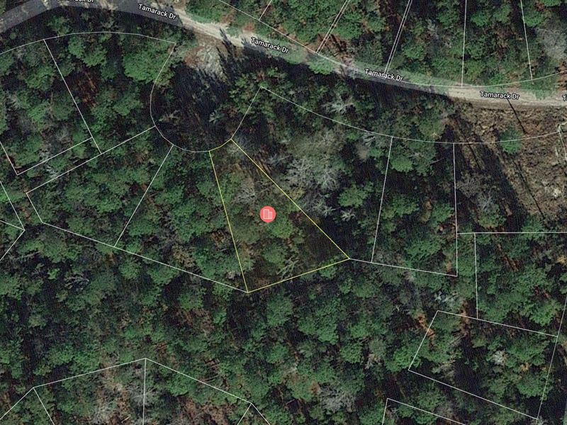 .25 Acre in Brookeland, $250/Mo : Brookeland : Jasper County : Texas