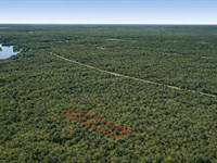 .29 Acre Wooded Near Lake, $175/M : Cleveland : Liberty County : Texas