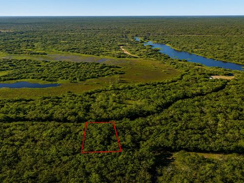 .32 Acre Near Lake Bowie, $150/Mo : Cleveland : Liberty County : Texas