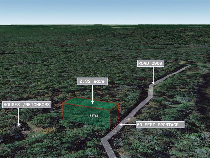 .32 Acre in Cleveland, $150/Mo : Cleveland : Liberty County : Texas