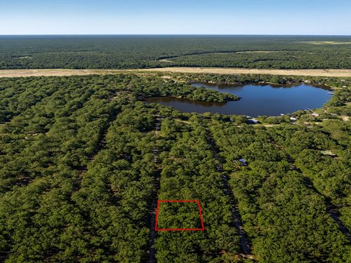 .23 Acre in Cleveland, $150/Mo : Cleveland : Liberty County : Texas