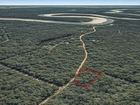 .7 Acre River Retreat, Wooded : Dayton : Liberty County : Texas