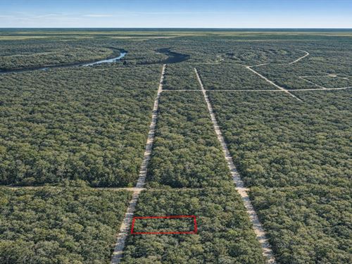 .1 Acre in Dayton, $150/Mo : Dayton : Liberty County : Texas