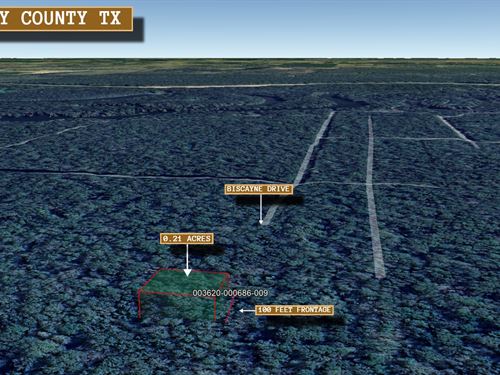 .21 Acre in Dayton, $175/Mo : Dayton : Liberty County : Texas