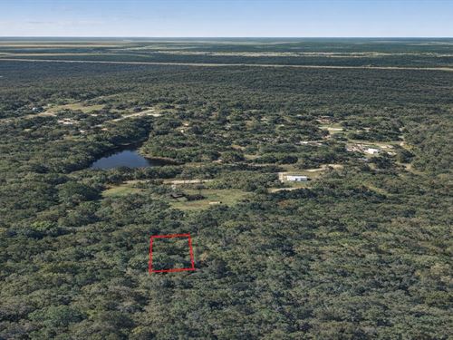 .16 Acre in Dayton, $200/Mo : Dayton : Liberty County : Texas
