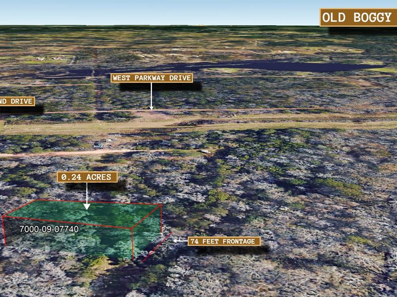 .24 Acre in Conroe, $175/Mo : Conroe : Montgomery County : Texas