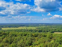 Invest Near The Strawberry River : Horseshoe Bend : Izard County : Arkansas