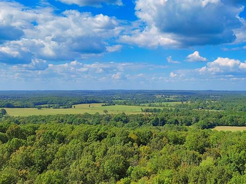 Invest Near The Strawberry River : Horseshoe Bend : Izard County : Arkansas