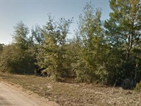 Buy Now, Hold & Grow : Interlachen : Putnam County : Florida