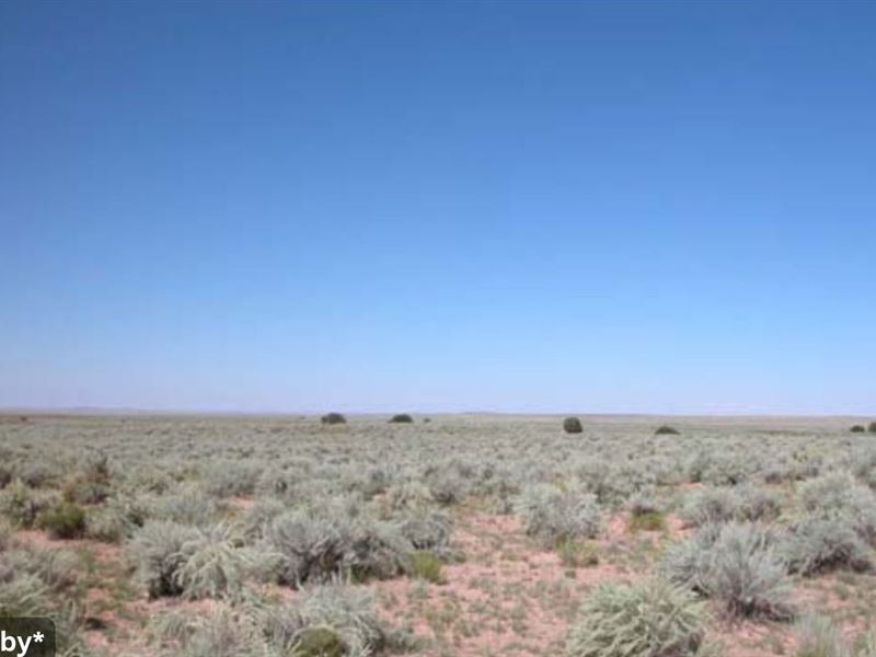 4.6 Acre Off Grid Friendly Land : Chambers : Apache County : Arizona