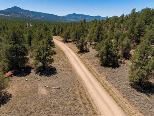 2.35 Acre, Mountain Backdrop : Cotopaxi : Fremont County : Colorado