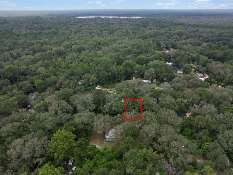 Your Gateway to Florida Living : Umatilla : Marion County : Florida