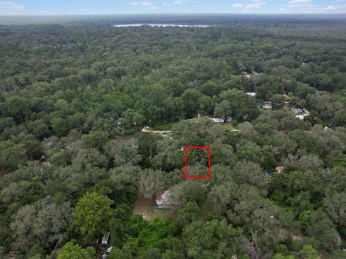 Your Gateway to Florida Living : Umatilla : Marion County : Florida