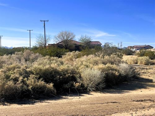 $221.46/Mo, Paved & Water : California City : Kern County : California