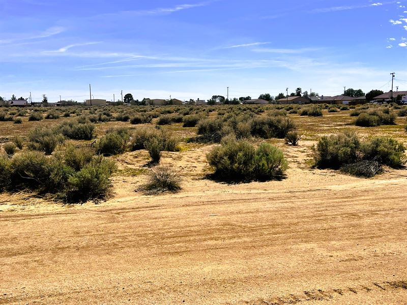 $291.93/Mo. Power & Water : California City : Kern County : California