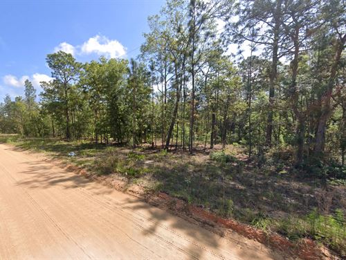 Utilities Nearby, Owner Financing : Keystone Heights : Clay County : Florida