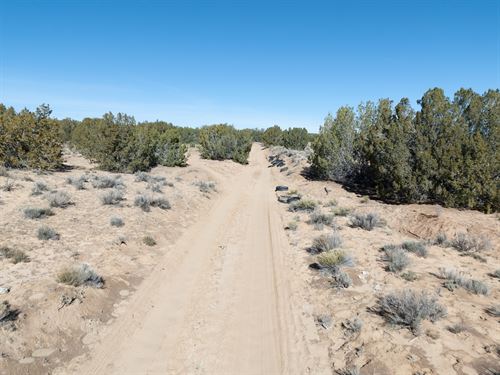 Near Ortega Lake, No HOA, $1 Down : Concho : Apache County : Arizona