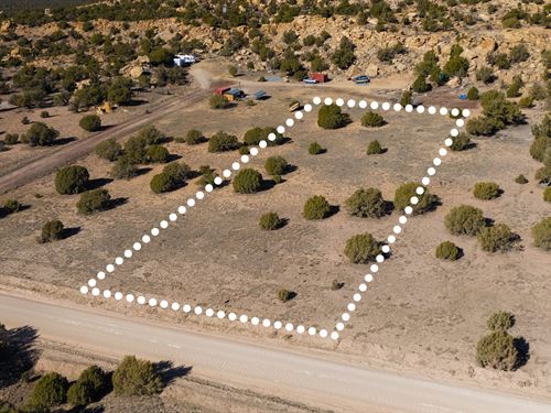 Near Ortega Lake, No HOA, $1 Down : Concho : Apache County : Arizona