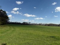 5 Acre Homesite Opportunity in Boot : Booth : Autauga County : Alabama