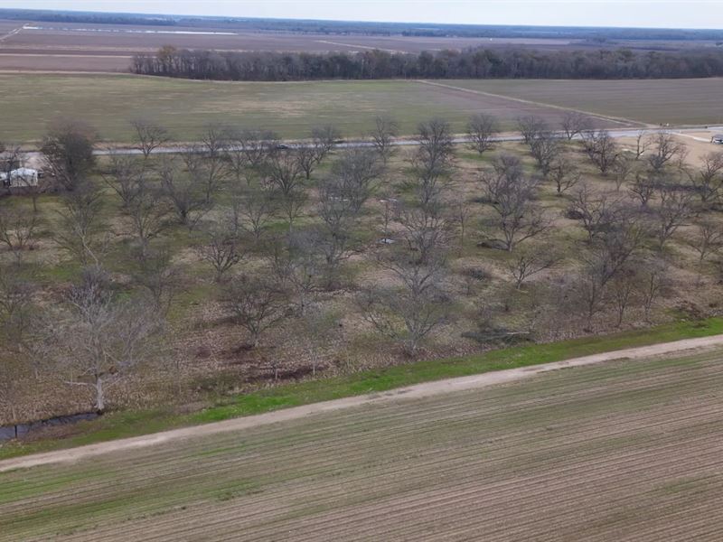 14.5 Acres in Bolivar County, MS : Shaw : Bolivar County : Mississippi