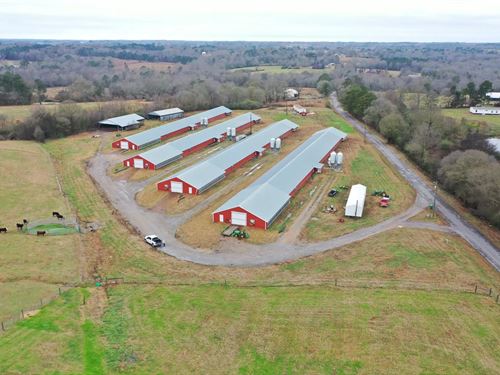Light Broiler Farm : Arab : Cullman County : Alabama