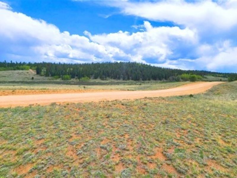 Camp or Build Mountain Lot : Como : Park County : Colorado