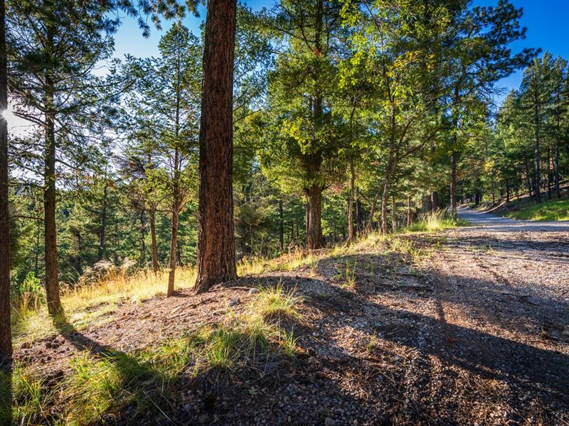 Hillside Lot, Power & Water : Cloudcroft : Otero County : New Mexico