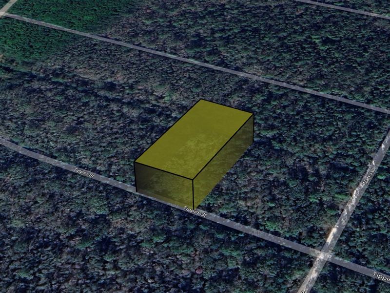 Nature, Space & $199 Down : Flagler Estates : Flagler County : Florida