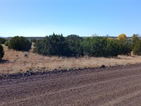 Affordable Acres, Priceless Views : Concho : Apache County : Arizona