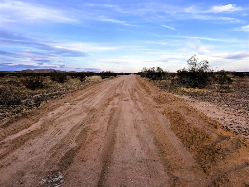 $117.80/Mo, Desert Views : California City : Kern County : California