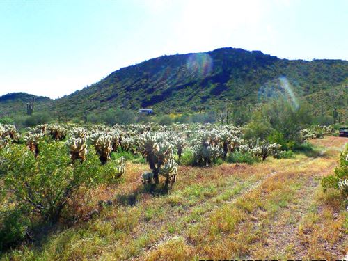 Excellent Building Land : Wittmann : Maricopa County : Arizona