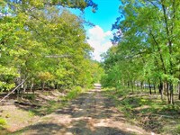 Quiet, Convenient and Ready for You : Horseshoe Bend : Izard County : Arkansas