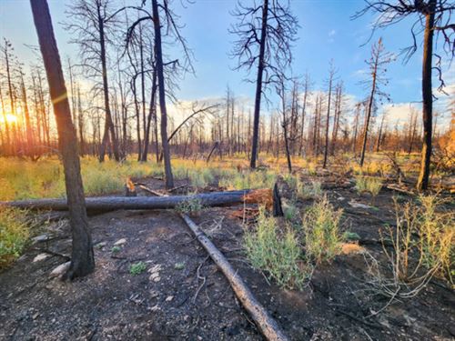 From Ashes to Adventure : Bonanza : Klamath County : Oregon