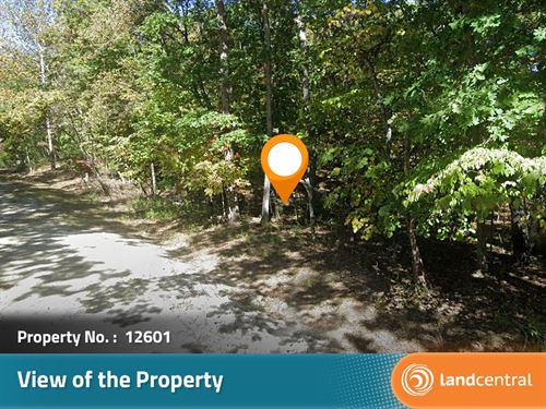 .32 Acres Gorgeous Plot of Land : Camden : Missouri