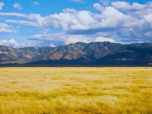 Half Acre Desert Calm NM : Los Lunas : Valencia County : New Mexico