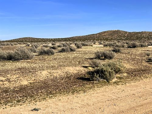 $97.67/Mo, Mojave Desert Views : California City : Kern County : California