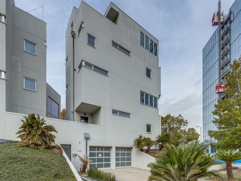 Modern Montrose Masterpiece : Houston : Harris County : Texas