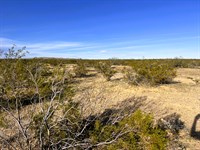 $151.34/Mo, Power & Water : California City : Kern County : California