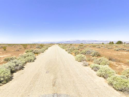 $151.34/Mo, Paved, Desert Views : California City : Kern County : California