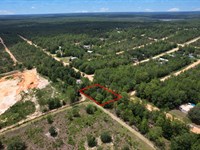 Nature Lover's Dream : Interlachen : Putnam County : Florida