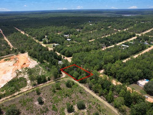 Nature Lover's Dream : Interlachen : Putnam County : Florida