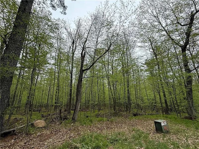 .81 Acre in Wi-Power Available : Cable : Bayfield County : Wisconsin